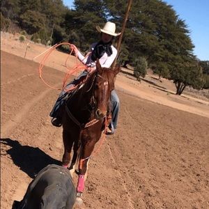 Meet your Posher, Ava